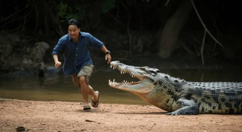 Mơ Thấy Cá Sấu Đánh Con Gì Để Bao Lượm Tiền? 3 Mơ thấy cá sấu đuổi theo